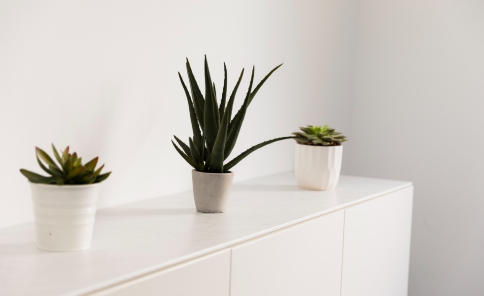 Decoración de interiores y sostenibilidad: claves prácticas para elegir muebles que duren