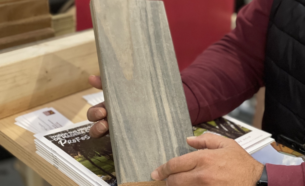 VIVE LA MADERA acerca la “naturalidad técnica” a la construcción