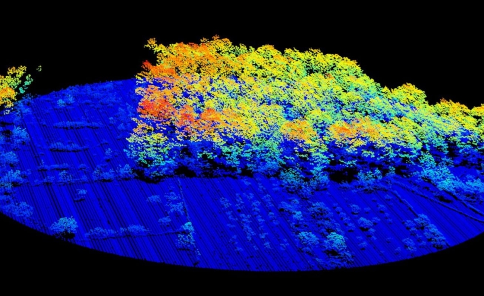 Impulsan el nuevo Mapa Forestal de las ISLAS BALEARES con tecnología de última generación