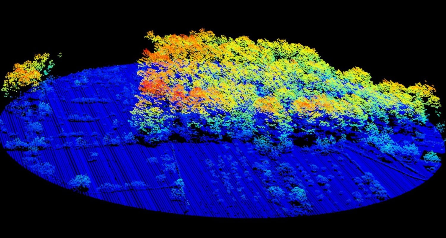 Impulsan el nuevo Mapa Forestal de las ISLAS BALEARES con tecnología de última generación