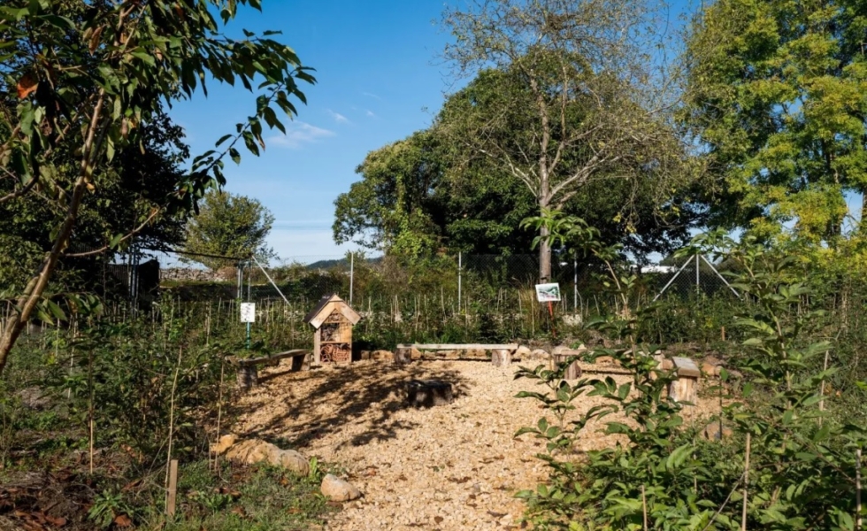 Un Bosque Urbano que surge de la inquietud de un colegio público