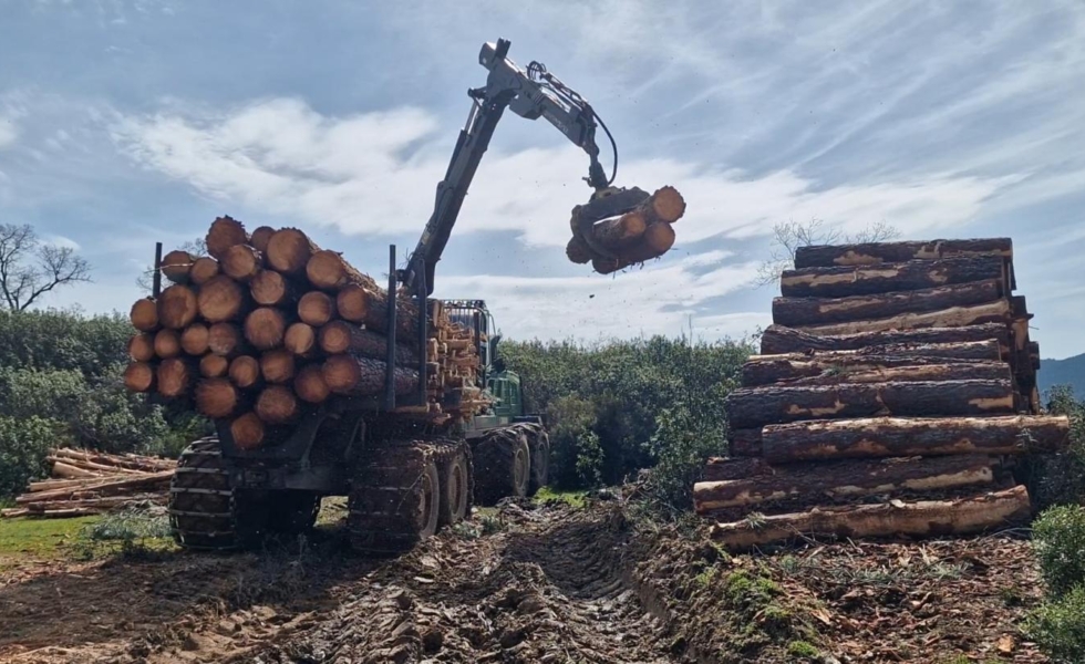 Siete mancomunidades impulsarán la gestión forestal en CASTILLA-LA MANCHA