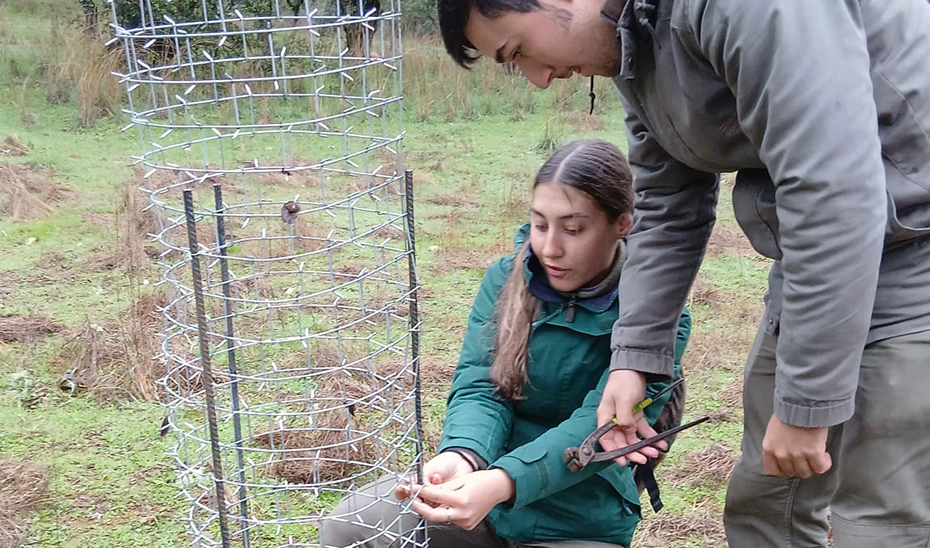 La dehesa de Sierra Morena, un aula al aire libre para aprender a cuidar los montes