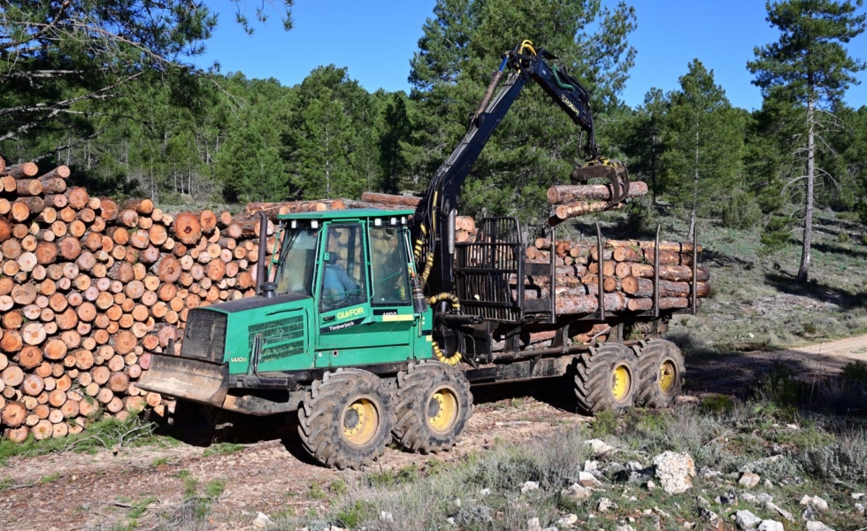 La figura del selvicultor activo y su impacto en la gestión forestal de Cuenca
