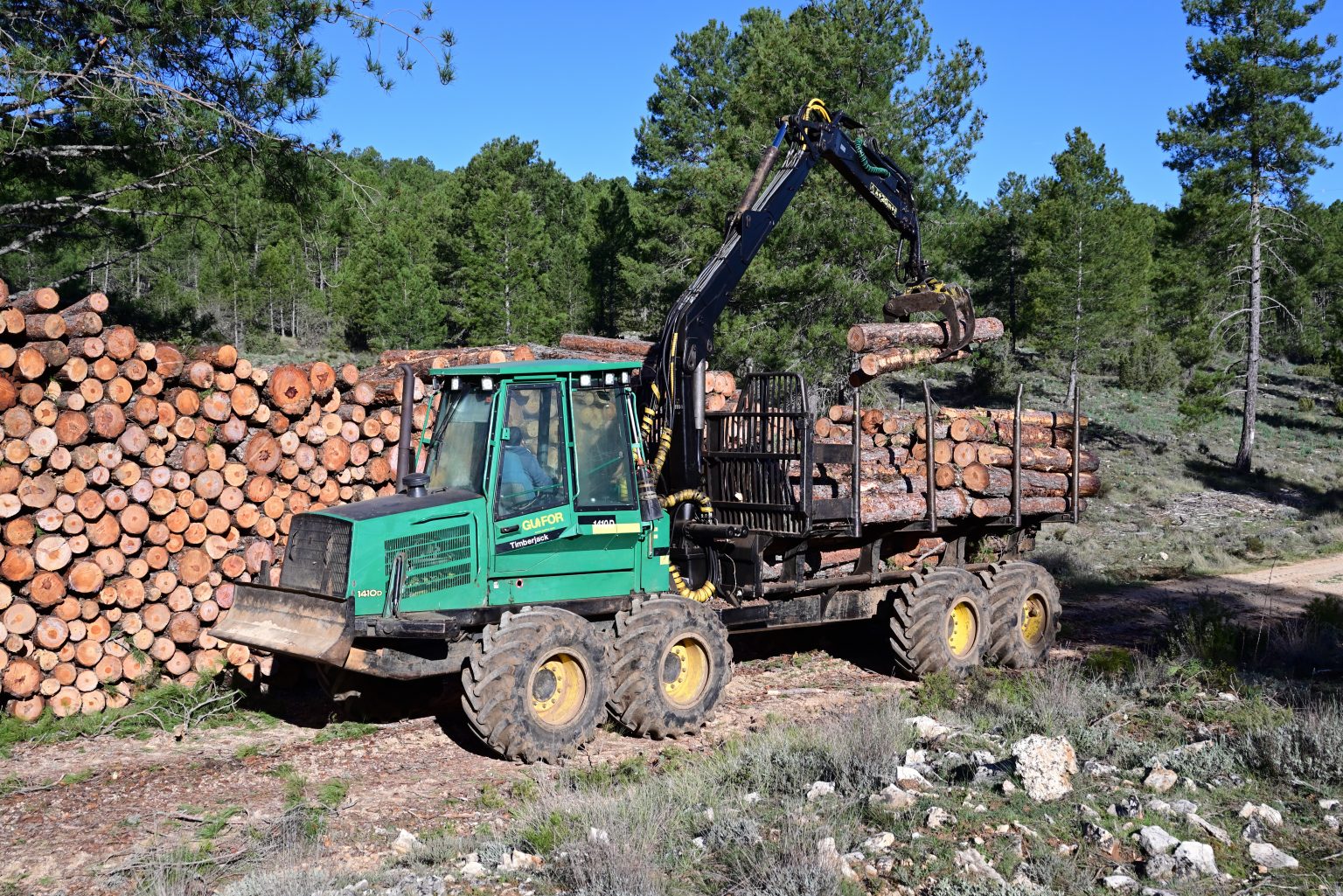 La figura del selvicultor activo y su impacto en la gestión forestal de Cuenca