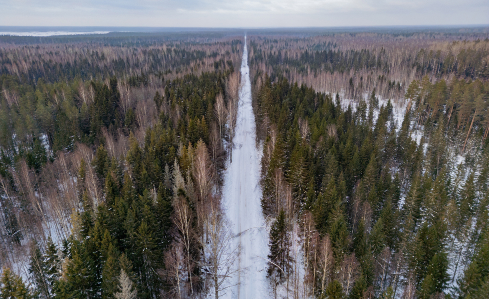 El experimento de KIKEPERA: ¿Puede la restauración climática destruir un bosque para intentar salvarlo?