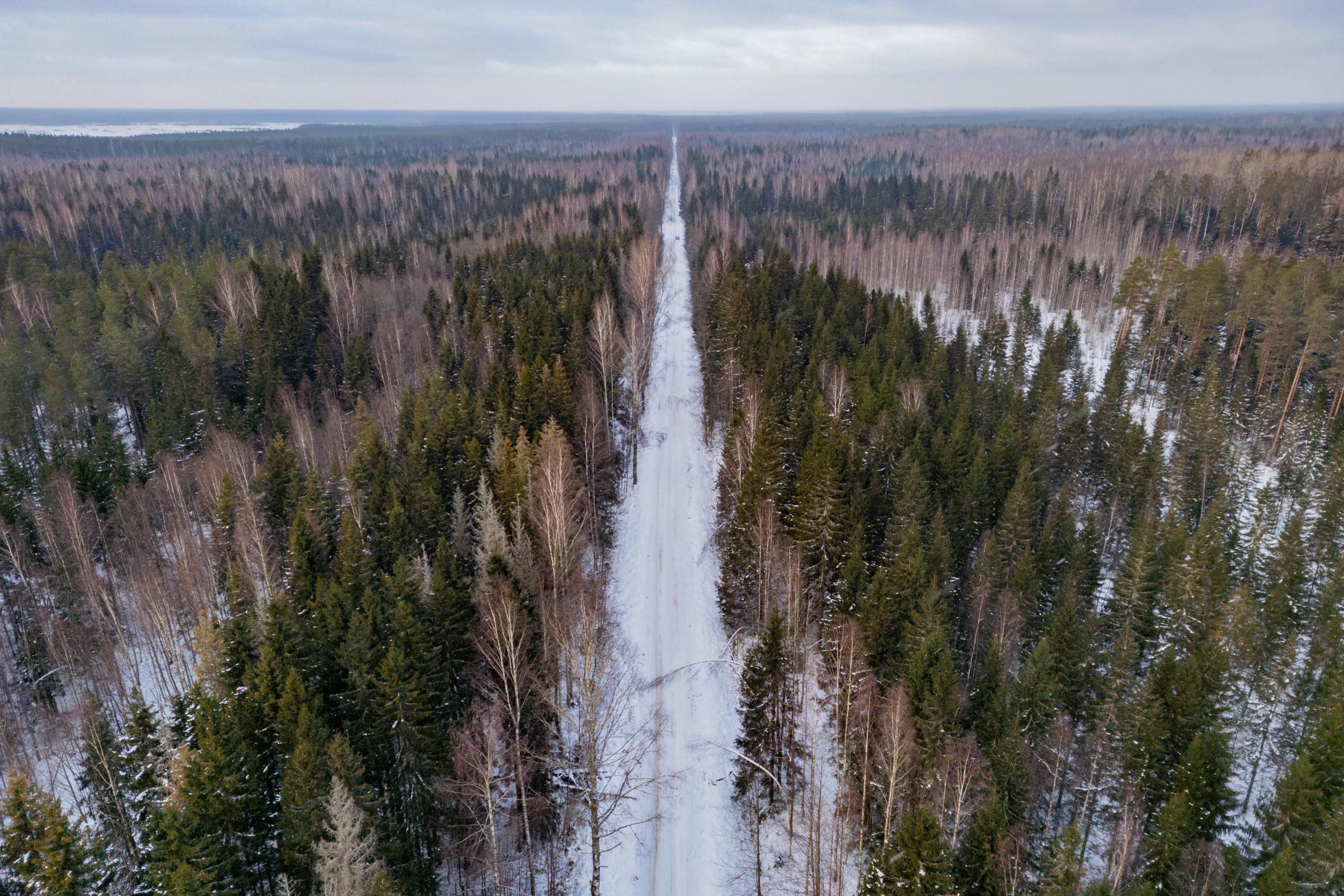 El experimento de KIKEPERA: ¿Puede la restauración climática destruir un bosque para intentar salvarlo?