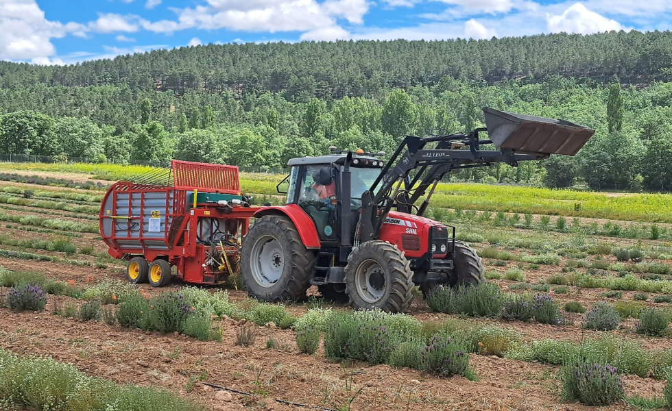 BIOVALOR aporta un nuevo enfoque al mapa de la bioeconomía forestal