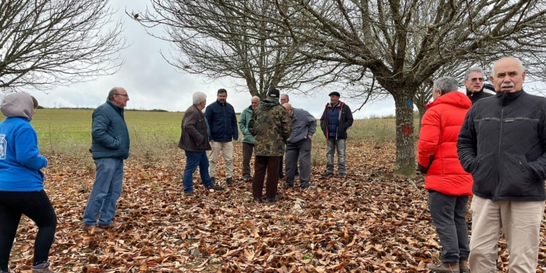 La DIPUTACIÓN DE ZAMORA impulsa la formación técnica sobre sanidad y control sostenible del castaño