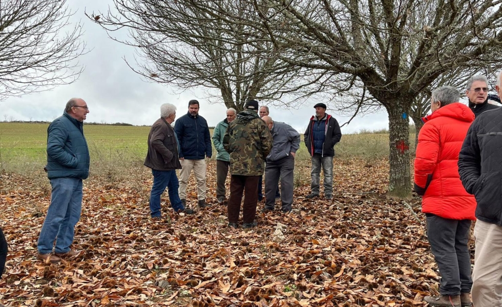 La DIPUTACIÓN DE ZAMORA impulsa la formación técnica sobre sanidad y control sostenible del castaño