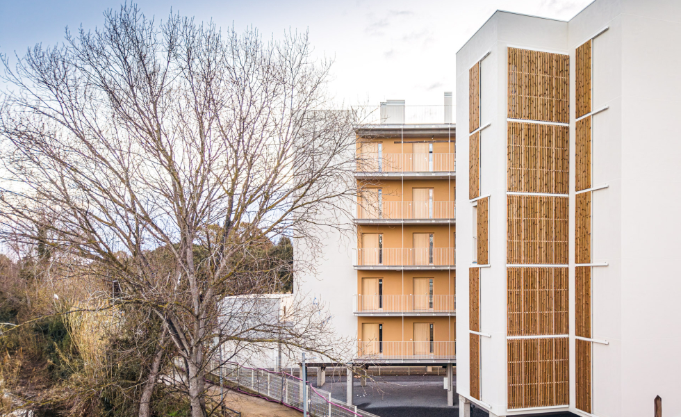 PALAMÓS: industrialización, eficiencia y madera para una construcción sostenible