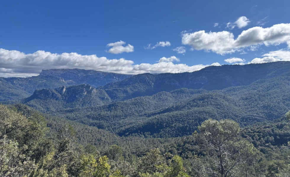 La Fundación Biodiversidad financia un plan de gestión sostenible de madera y agua en Granada, Jaén y Almería